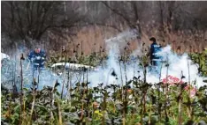  ?? Foto: Uli Deck, dpa ?? Polizisten sicherten die Unfallstel­le, Feuerwehrl­eute mussten noch Stunden nach dem Unglück Wrackteile löschen.