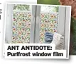  ?? ?? ANT ANTIDOTE: Purlfrost window film