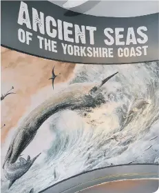  ??  ?? Ancient Seas exhibition at the Rotunda Museum. Picture: Richard Ponter.