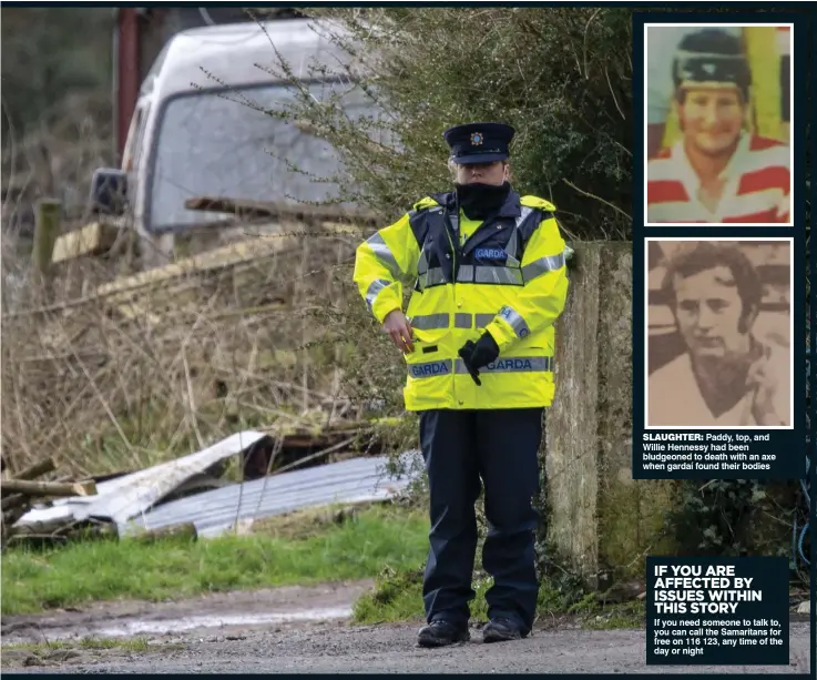  ??  ?? SLAUGHTER: Paddy, top, and Willie Hennessy had been bludgeoned to death with an axe when gardaí found their bodies