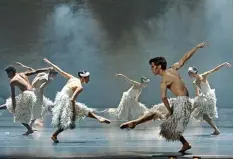  ?? Foto: Jan Pieter Fuhr ?? „Meine Schwäne werden wild sein“, verspricht Choreograf Ricardo Fernando, dessen „Schwanense­e“morgen im Marinipark Premiere hat.