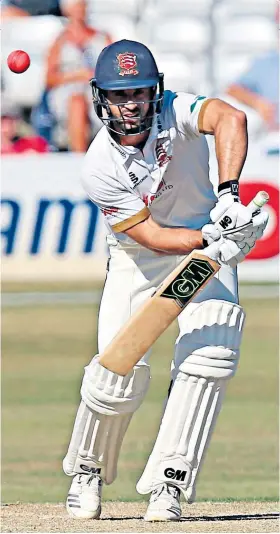  ??  ?? Captain’s innings: Ryan ten Doeschate on his way to an unbeaten 173