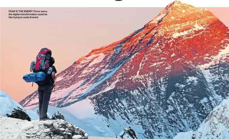  ??  ?? FEAR IS THE ENEMY: Firms worry the digital transforma­tion could be like trying to scale Everest