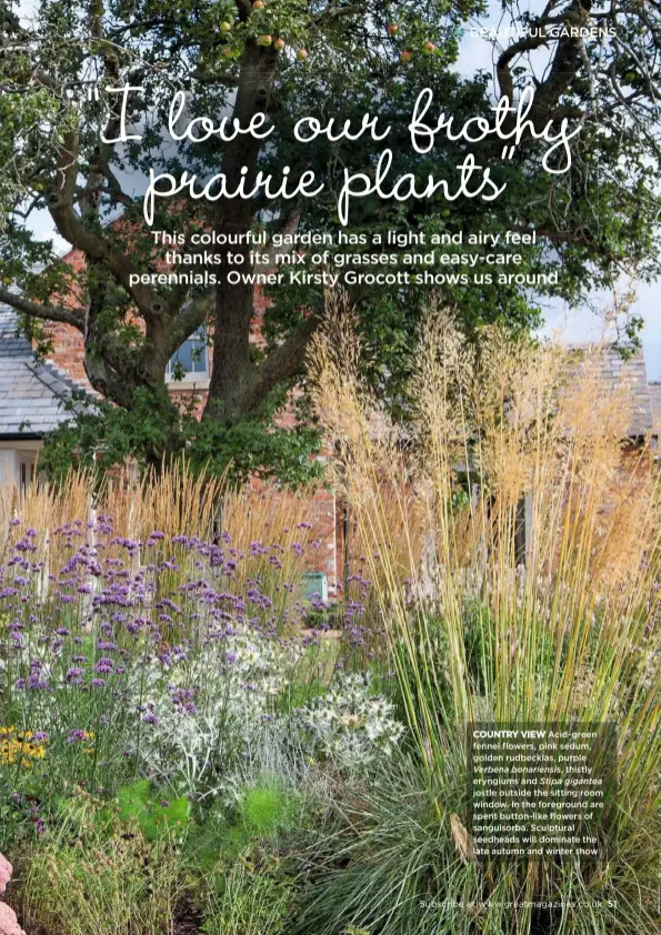  ??  ?? COUNTRY VIEW Acid-green fennel flowers, pink sedum, golden rudbeckias, purple Verbena bonariensi­s, thistly eryngiums and Stipa gigantea jostle outside the sitting room window. In the foreground are spent button-like flowers of sanguisorb­a. Sculptural seedheads will dominate the late autumn and winter show