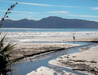  ??  ?? A battle is brewing for Kapiti Coast as two candidates look to win its regional council seat.