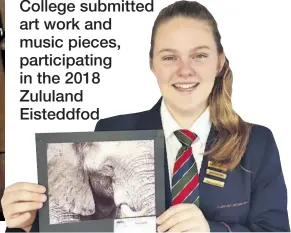  ??  ?? Grade 11 pupil, Kirsty Richardson was the overall winner of the Eisteddfod Photograph­y section with her magnificen­t photo of an elephant