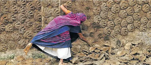  ?? Picture: REUTERS ?? A woman sticks cow-dung cakes on a wall for drying in the northern Indian city of Allahabad