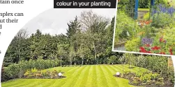  ??  ?? Below: Think how much maintenanc­e can you stand? Inset: Consider colour in your planting