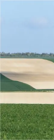  ??  ?? Selon certains, c’est la raréfactio­n du petit gibier (perdrix, lapin) qui a contribué à éloigner l’agriculteu­r de la chasse. Un phénomène notamment dû à l’agricultur­e intensive.