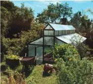  ?? JAVIERA IDE ?? Above / Arriba:
A greenhouse in Pucon, and a field of organic Chilote garlic in Coipomo, Chiloe. Un invernader­o en Pucón, y cultivo orgánico de ajos chilotes en Coipomó, Chiloe.
