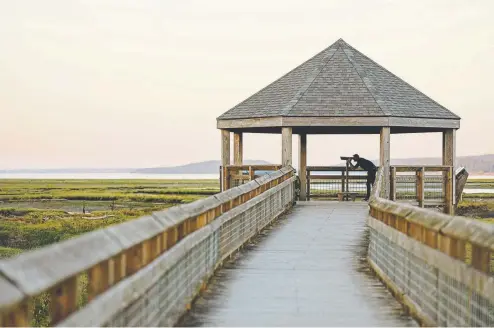  ?? Photos by Leah Nash, for The Washington Post ?? The Billy Frank Jr. Nisqually National Wildlife Refuge is for the birds — and fish, amphibians and mammals, including hikers.