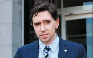  ??  ?? I think that most sensible people agree that turning up to protest outside Minister Simon Harris’ private residence was unacceptab­le.