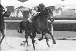  ?? COADY PHOTOGRAPH­Y ?? Heart Rhythm earned a 93 Beyer for this victory Thursday at Oaklawn. He could run in next in the Commonweal­th Stakes.