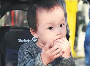  ?? WANG JINGJING / FOR CHINA DAILY ?? Zhang Junyao, a one-year-old girl, enjoys biscuits on her baby cart.