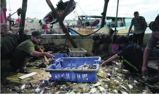  ??  ?? There are about 4,000 fishermen in Gaza, but only a maximum of 700 fish regularly for fear of being stopped and interrogat­ed by the Israeli military. Mohammed Salem