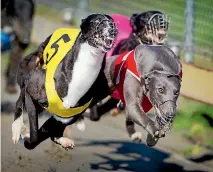  ?? PHOTO: GRANT MATTHEW/FAIRFAX NZ ?? A Racing Integrity Unit investigat­ion is underway following a scuffle in front of hundreds of witnesses at Manawatu Raceway.