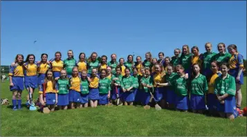  ??  ?? The Carnew emmets and Burt (Donegal) teams ahead of their game.