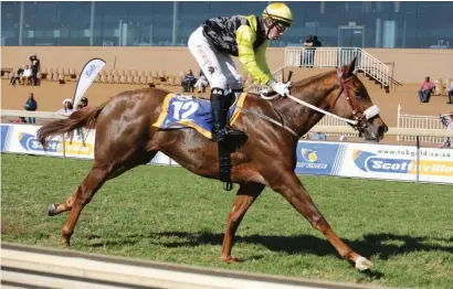  ?? Picture: Gold Circle ?? IMPROVEMEN­T. Grecian Laurel had an impressive first win and looks to have a bright future. Duncan Howells’ charge can win again when she contests Race 8 at Scottsvill­e on Sunday.