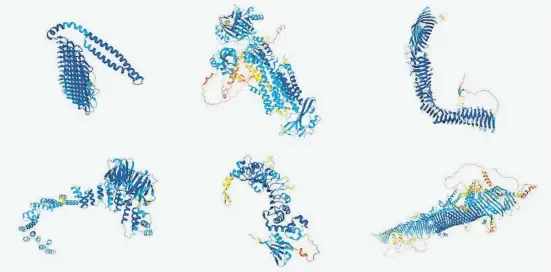  ??  ?? Alphafold ha desvelado la estructura en 3D de las 20.000 proteínas que codifican nuestro genoma