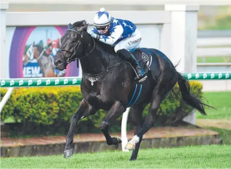  ?? Picture: AAP IMAGE/ALBERT PEREZ ?? Bargain buy The Odyssey wins at Doomben last month to press his claims for The Jewel.