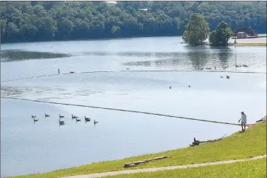  ?? NWA Democrat-Gazette/Flip Putthoff ?? Canada geese swim on June 21 at the Prairie Creek park swim beach at Beaver Lake. The beach and others on the reservoir are closed because of unacceptab­le levels of E. coli bacteria.