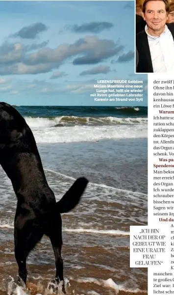  ??  ?? LEBENSFREU­DE Seitdem Miriam Maertens eine neue Lunge hat, tollt sie wieder mit ihrem geliebten Labrador Karenin am Strand von Sylt