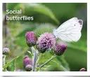  ??  ?? Social butterflie­s