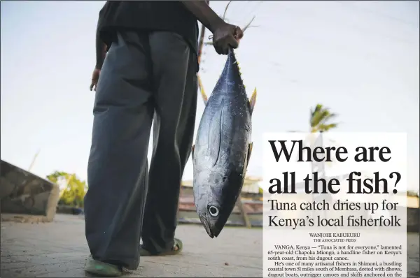  ?? (Ap/brian Inganga) ?? Fisherman Kassim Abdalla Zingizi holds a yellowfin tuna June 14 after a catch in Vanga, Kenya.