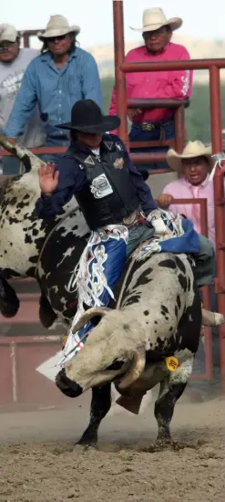  ?? ?? Bull riding al rodeo indiano della Crow Fair a Crow Agency, Montana. Q