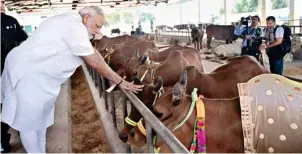  ??  ?? Prime Minister Narendra Modi at the Pashudhan Arogya Mela at Shahanshah­pur, Varanasi, Uttar Pradesh on Saturday