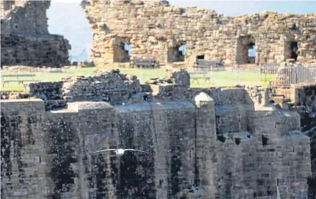  ?? Picture: Kim Cessford. ?? Visitors have been flocking to St Andrews Castle.