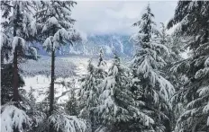  ?? Courtesy: Nasar Ali Courtesy: Emran Mani ?? Right: Snow-laden pine trees in Kalam. Above, right: At an altitude of 4,724 metres, Khunjerab Pass on the Pakistan-China border is the highest paved internatio­nal border.