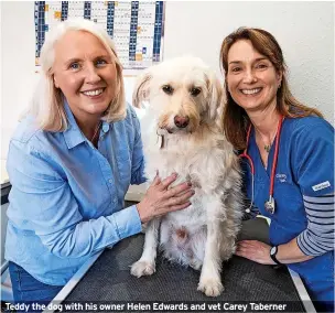  ?? ?? Teddy the dog with his owner Helen Edwards and vet Carey Taberner