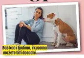  ?? ?? Baš kao i ljudima, i kucama možete biti dosadni