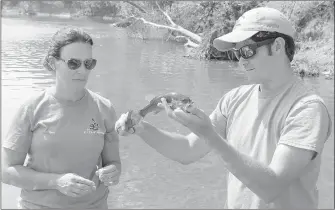  ?? Keith Bryant/The Weekly Vista ?? Brewer, left, stands by while co-researcher Taylor takes a fin trimming from a smallmouth bass.