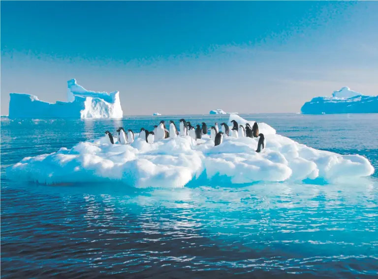  ??  ?? Explorer and marine scientist Frederique Olivier travels to the most challengin­g and beautiful environmen­ts to capture breathtaki­ng images such as adelie penguins adrift on an ice floe in the Southern Ocean off the Australian Antarctic Territory.