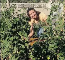  ??  ?? courges et courgettes