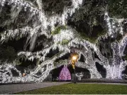  ?? COURTESY OF JEKYLL ISLAND ?? Holly Jolly Jekyll, through Jan. 2, features 35,000-plus lights on the Great Tree (above), Santa sightings, Peppermint Land, fireworks displays and open-air trolley tours on select nights.