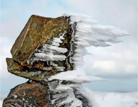  ??  ?? Horizontal ice on rocks in Cumbria, formed when strong winds bring moisture-laden air into contact with cold surfaces, appears to transform this rock into a person with windswept hair.