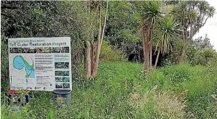 ?? JOHN GILLON/SUPPLIED ?? The entrance to Tuff Crater is choked with weeds and overgrown grass, as Auckland Council contrators face difficulti­es.