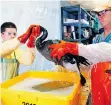  ?? JON MURRAY/POSTMEDIA NEWS FILES ?? Volunteers clean birds following an oil spill in July 2006.