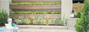  ??  ?? Vertical gardens dry out faster than regular beds because they’re exposed to more sun and wind. Installing a drip irrigation system on a timer is one way to tackle this challenge, says Joe Raboine of hardscape firm Belgard.