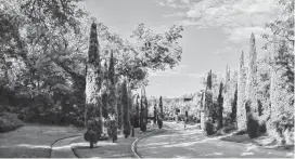  ?? Courtesy photo ?? At the Dallas Urban Reserve, the design of a bio-filtering street and its naturecent­erlike plantings became the common ground for a community of 50 homes.