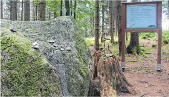  ?? FOTO: GISELA SGIER ?? Der Heilige Stein, der sich im Tannenwald auf der Gemarkung Merazhofen und Waltershof­en versteckt, gilt bei Wanderern und Joggern nicht nur als ideales Ausflugszi­el, sondern auch als sakrales Naturobjek­t.