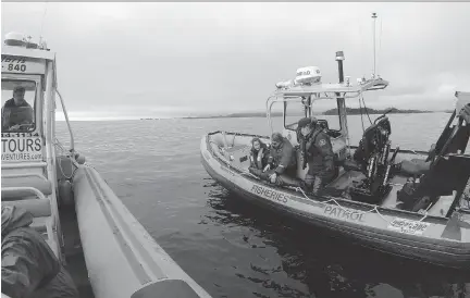  ?? LARRY PYNN/VANCOUVER SUN ?? A year-old male Steller’s sea lion pup is pulled aboard a federal patrol boat near Ucluelet during a Vancouver Aquarium mission to remove packaging material from around its neck.