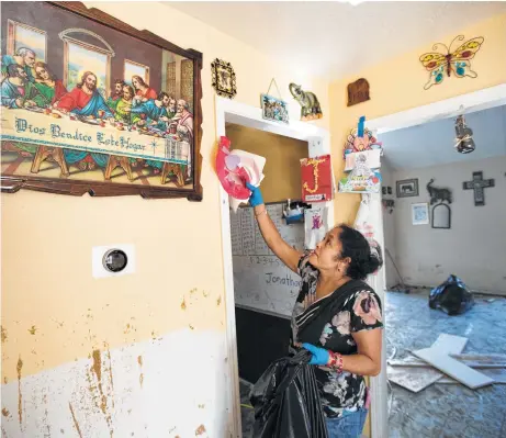  ?? Brett Coomer / Houston Chronicle ?? Alma Castaneda cleans the walls of her flood-damaged home Thursday in the Verde Forest subdivisio­n in northeast Houston.