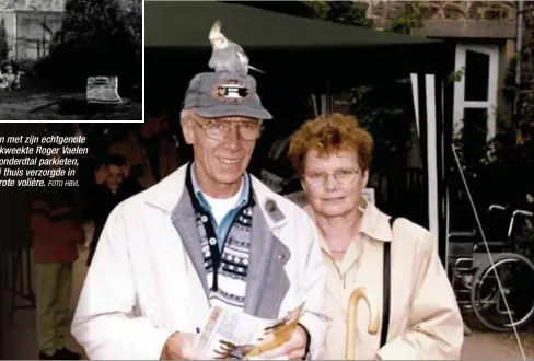  ?? FOTO HBVL ?? Samen met zijn echtgenote Irène kweekte Roger Vaelen een honderdtal parkieten, die hij thuis verzorgde in een grote volière.