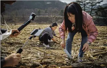  ??  ?? SEOK Hyeon Ju, left, and Sim Ha Yoon find plants they can harvest for food and document on Seok’s YouTube channel in Inje, South Korea. “Not delicious,” Seok says of a shriveled ear of corn she found.