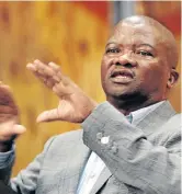  ?? /LULAMILE FENI ?? UDM leader Bantu Holomisa says rot at PIC is huge.