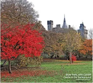  ?? JONATHAN MYERS ?? Bute Park, with Cardiff Castle in the background